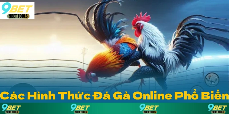 Đá Gà 9BET: Nơi Hội Tụ Những Trận So Tài Gà Chọi 2026 - WINCASCADE.WORK