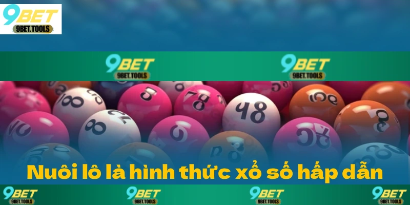 Xổ số 9BET: Điểm đến giải trí trực tuyến lôi cuốn số 1 - WINCASCADE.WORK